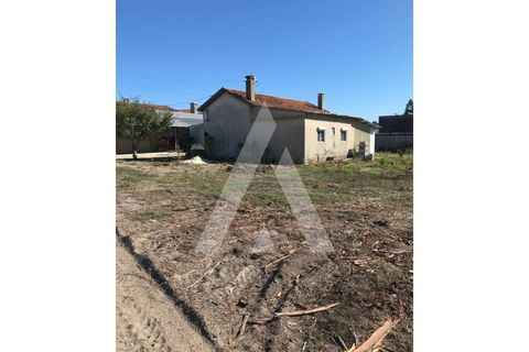 Helårsgrund i Oliveira do Bairro, Aveiro, Oliveira do Bairro - € 372.000 | Ref: 1030996/26BL - foto 6