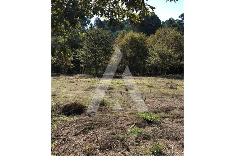 Helårsgrund i Oliveira do Bairro, Aveiro, Oliveira do Bairro - € 372.000 | Ref: 1030996/26BL - foto 7