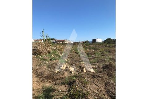 Helårsgrund i Oliveira do Bairro, Aveiro, Oliveira do Bairro - € 372.000 | Ref: 1030996/26BL - foto 9