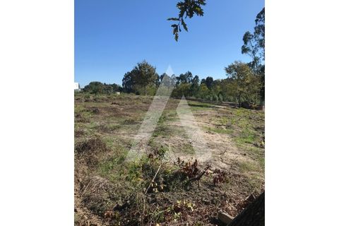 Helårsgrund i Oliveira do Bairro, Aveiro, Oliveira do Bairro - € 372.000 | Ref: 1030996/26BL - foto 10