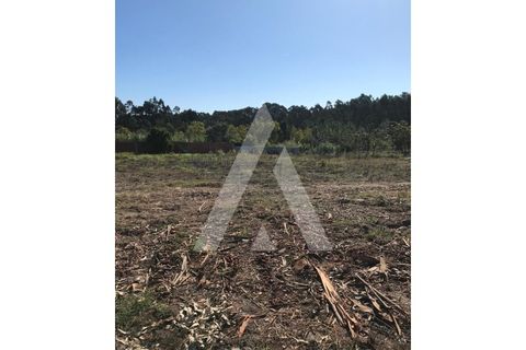 Helårsgrund i Oliveira do Bairro, Aveiro, Oliveira do Bairro - € 372.000 | Ref: 1030996/26BL - foto 12