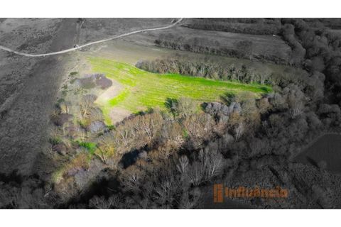 Farm i Fundao, Castelo Branco, Fundao - € 60.000 | Ref: MAS_117 - foto 1