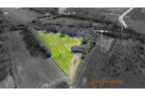 Farm i Fundao, Castelo Branco, Fundao - € 60.000 | Ref: MAS_117 - foto 2