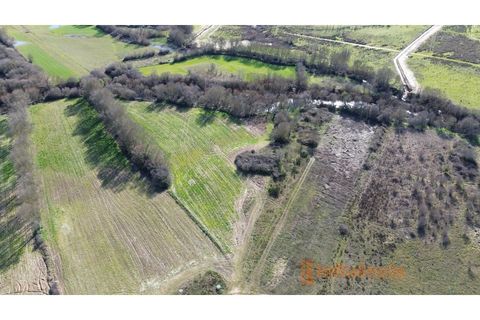 Farm i Fundao, Castelo Branco, Fundao - € 60.000 | Ref: MAS_117 - foto 4