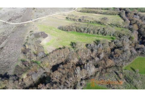 Farm i Fundao, Castelo Branco, Fundao - € 60.000 | Ref: MAS_117 - foto 5