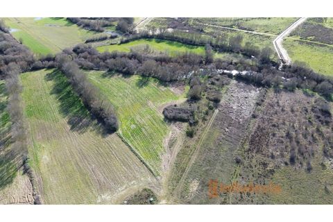 Farm i Fundao, Castelo Branco, Fundao - € 60.000 | Ref: MAS_117 - foto 6
