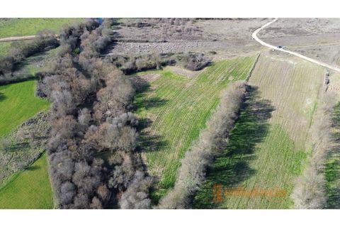Farm i Fundao, Castelo Branco, Fundao - € 60.000 | Ref: MAS_117 - foto 7