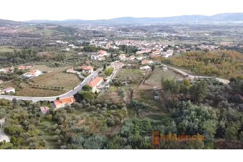 Terra a Dominguizo, Castelo Branco, Dominguizo - € 25.000 | Ref: SÒL_109 - foto 2