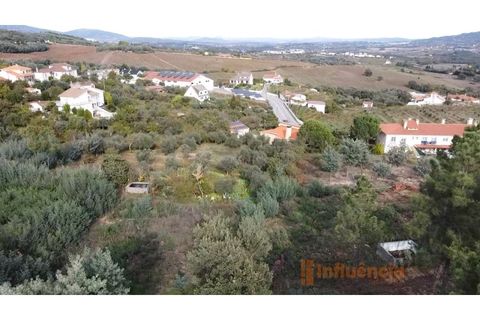 Terra a Dominguizo, Castelo Branco, Dominguizo - € 25.000 | Ref: SÒL_109 - foto 3