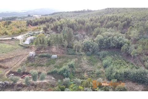 Terra a Dominguizo, Castelo Branco, Dominguizo - € 25.000 | Ref: SÒL_109 - foto 4
