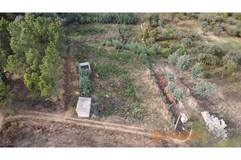 Terra a Dominguizo, Castelo Branco, Dominguizo - € 25.000 | Ref: SÒL_109 - foto 5