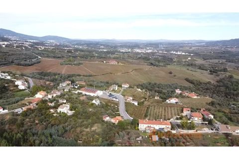Terra a Dominguizo, Castelo Branco, Dominguizo - € 25.000 | Ref: SÒL_109 - foto 7
