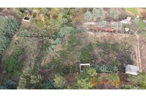 Terra a Dominguizo, Castelo Branco, Dominguizo - € 25.000 | Ref: SÒL_109 - foto 8