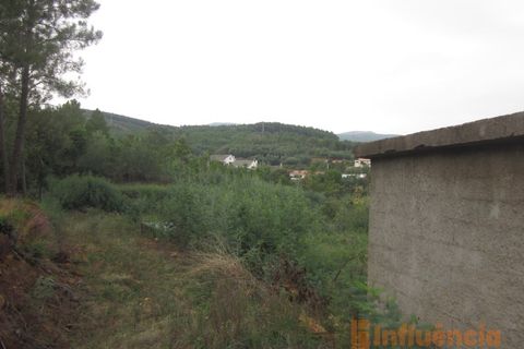 Terra a Dominguizo, Castelo Branco, Dominguizo - € 25.000 | Ref: SÒL_109 - foto 11