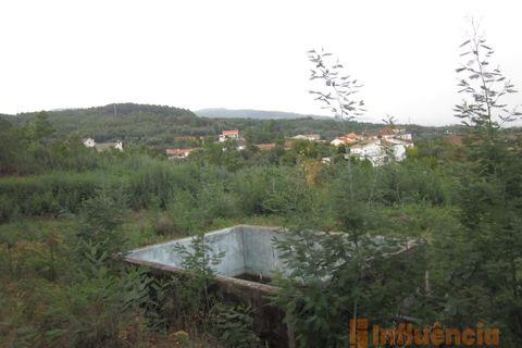 Terra a Dominguizo, Castelo Branco, Dominguizo - € 25.000 | Ref: SÒL_109 - foto 12