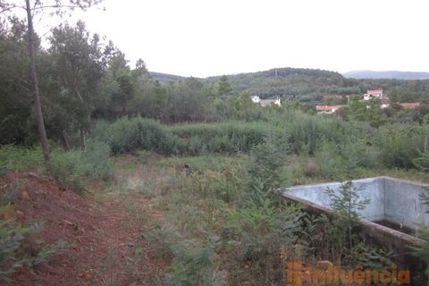 Terra a Dominguizo, Castelo Branco, Dominguizo - € 25.000 | Ref: SÒL_109 - foto 13