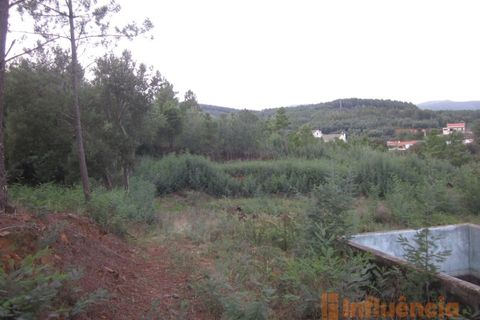 Terra a Dominguizo, Castelo Branco, Dominguizo - € 25.000 | Ref: SÒL_109 - foto 14