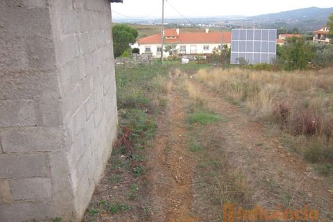 Terra a Dominguizo, Castelo Branco, Dominguizo - € 25.000 | Ref: SÒL_109 - foto 15