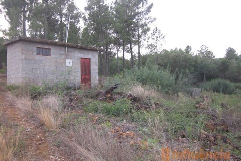 Terra a Dominguizo, Castelo Branco, Dominguizo - € 25.000 | Ref: SÒL_109 - foto 17