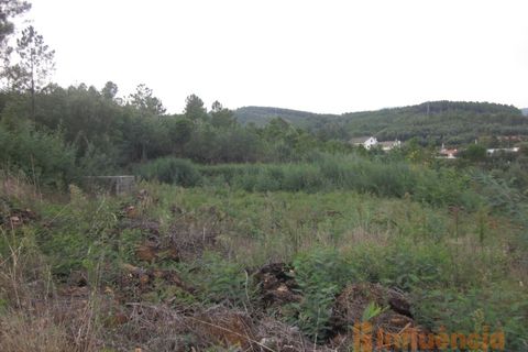 Terra a Dominguizo, Castelo Branco, Dominguizo - € 25.000 | Ref: SÒL_109 - foto 18