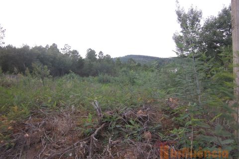 Terra a Dominguizo, Castelo Branco, Dominguizo - € 25.000 | Ref: SÒL_109 - foto 19