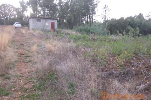 Terra a Dominguizo, Castelo Branco, Dominguizo - € 25.000 | Ref: SÒL_109 - foto 20