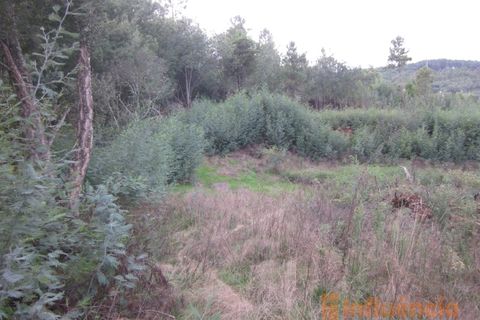 Terra a Dominguizo, Castelo Branco, Dominguizo - € 25.000 | Ref: SÒL_109 - foto 21