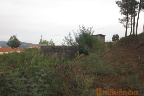 Terra a Dominguizo, Castelo Branco, Dominguizo - € 25.000 | Ref: SÒL_109 - foto 22