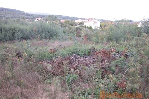Terra a Dominguizo, Castelo Branco, Dominguizo - € 25.000 | Ref: SÒL_109 - foto 24