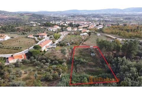 Terra a Dominguizo, Castelo Branco, Dominguizo - € 25.000 | Ref: SÒL_109 - foto 25
