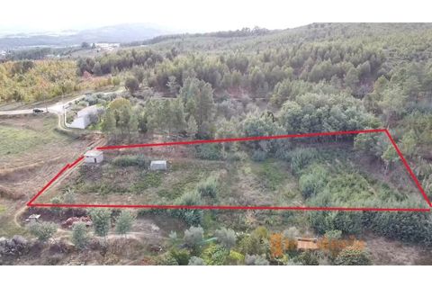 Terra a Dominguizo, Castelo Branco, Dominguizo - € 25.000 | Ref: SÒL_109 - foto 26