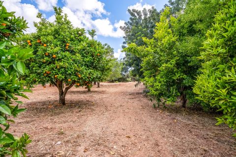 Villa i Olhao, Faro, Olhao - € 990.000 | Ref: 0357 - foto 43