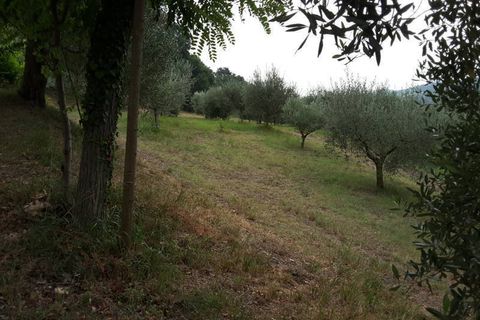 Erhvervsejendom i Offagna, Ancona, Offagna - € 650.000 | Ref: 5167 - foto 3