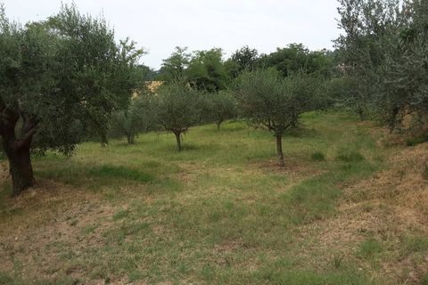 Erhvervsejendom i Offagna, Ancona, Offagna - € 650.000 | Ref: 5167 - foto 4