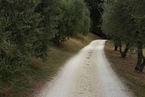 Erhvervsejendom i Offagna, Ancona, Offagna - € 650.000 | Ref: 5167 - foto 5