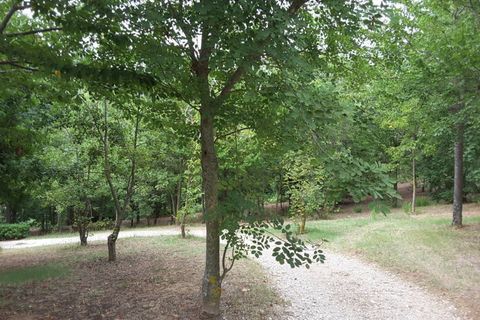 Erhvervsejendom i Offagna, Ancona, Offagna - € 650.000 | Ref: 5167 - foto 6