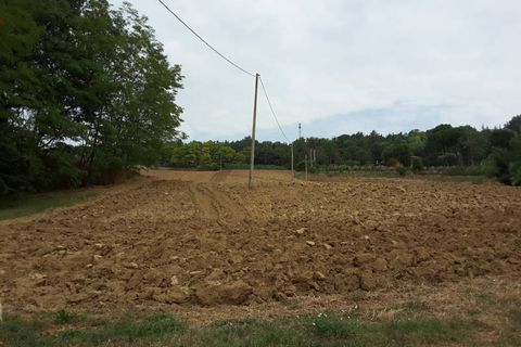 Erhvervsejendom i Offagna, Ancona, Offagna - € 650.000 | Ref: 5167 - foto 7