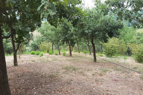 Erhvervsejendom i Offagna, Ancona, Offagna - € 650.000 | Ref: 5167 - foto 9