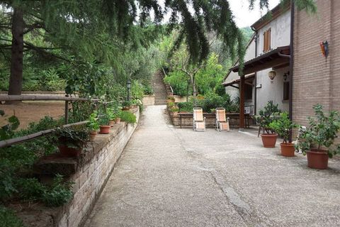 Erhvervsejendom i Offagna, Ancona, Offagna - € 650.000 | Ref: 5167 - foto 13