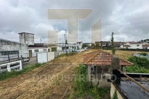 Helårsgrund i Maia, Porto, Maia - € 1.800.000 | Ref: DT2068/MT - foto 5