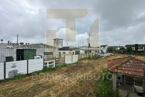 Helårsgrund i Maia, Porto, Maia - € 1.800.000 | Ref: DT2068/MT - foto 6