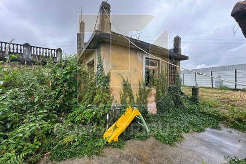 Helårsgrund i Maia, Porto, Maia - € 1.800.000 | Ref: DT2068/MT - foto 16