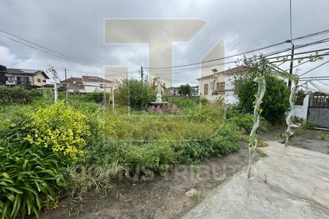 Helårsgrund i Maia, Porto, Maia - € 1.800.000 | Ref: DT2068/MT - foto 17