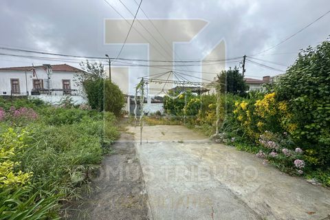 Helårsgrund i Maia, Porto, Maia - € 1.800.000 | Ref: DT2068/MT - foto 19
