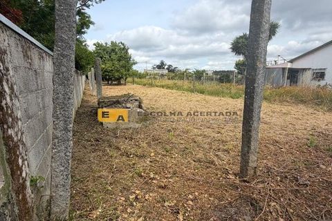 Helårsgrund i Maia, Porto, Maia - € 220.000 | Ref: 11997 - foto 5