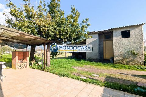 Villa i Pietrasanta, Lucca, Pietrasanta - € 350.000 | Ref: fdm690 - foto 3