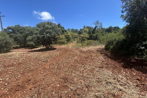 Helårsgrund i Almancil, Faro, Almancil - € 697.000 | Ref: PBI-1398 - foto 3