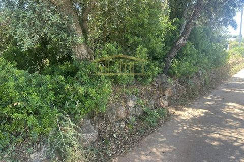 Helårsgrund i Almancil, Faro, Almancil - € 697.000 | Ref: PBI-1398 - foto 4