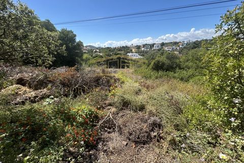 Helårsgrund i Almancil, Faro, Almancil - € 697.000 | Ref: PBI-1398 - foto 5