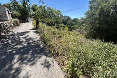 Helårsgrund i Almancil, Faro, Almancil - € 697.000 | Ref: PBI-1398 - foto 6